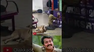 വളരെ മനോഹരമായ ഒരു കാഴ്ച്ച 🥰 #love #comedy #tamil #petlover #motivation