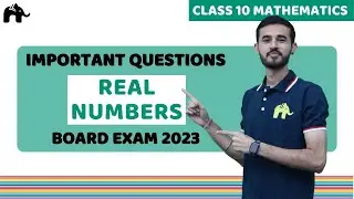 Real Numbers Class 10 Maths| Important Questions and Topics for Board Exam
