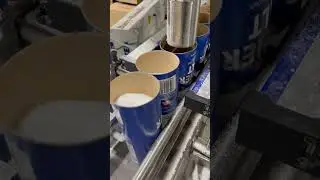 Kosher sea salt carton packing line