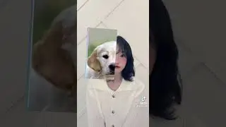 [YURI #shorts] 🐶PUPPY or YURI✨