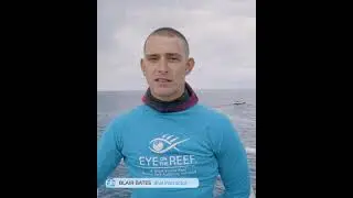 Ocean Freedom