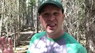Ninety Seconds of Nature - Great Gray Owl Edition!