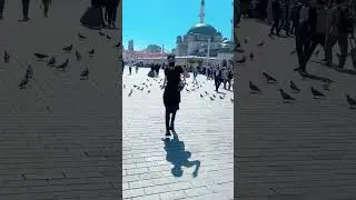 Shruthi Hassan Enjoying Herself near Pigeons in Turkey Latest Video