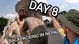 Jungle Safari In Chitwan National Park - Day 8 Of Nepal Travel Vlog | Vagabundos