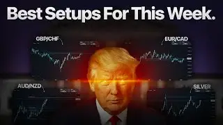 ЛУЧШИЕ ТОРГОВЫЕ ВАРИАНТЫ НА ЭТОЙ НЕДЕЛЕ: GBP/CHF, XAU/USD, AUD/NZD и другие!