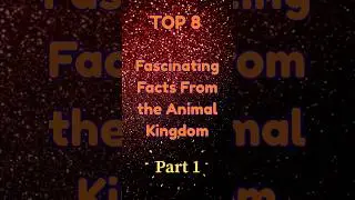 Part 1 - Fascinating Facts From the Animal Kingdom