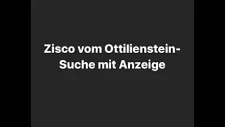 Zisco vom Ottilienstein, Suche mit Anzeige. Objektsuche, Dummysuche, Dummyarbeit