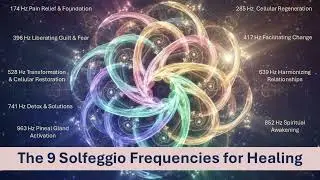 All 9 SOLFEGGIO FREQUENCIES🧬Neural Flow 2026 Neural Alignment & Biological Reset 3 Hours Biohacking
