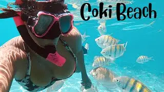 The BEST Snorkeling at COKI BEACH!