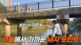 서울에서 가까운 낚시 포인트 ✨다리 밑 !! 
