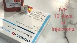 IVF | 12 Days of Injections