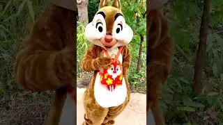 Breaking Chips heart with a Dale only Loungefly