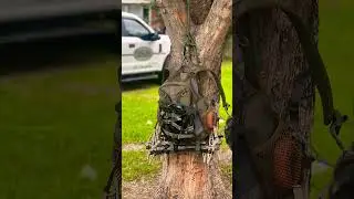 XOP Striker Evolution! #shorts #shortvideo #hunting #bowhunting #saddlehunting #AlabamaHunting