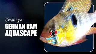 HABISTAX. A film by Friendly Fish (4K)