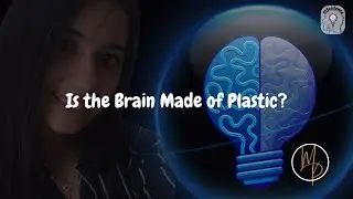 Is the Brain Made of Plastic? | Brain Plasticity Explained Simply