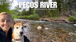 Dog Friendly Adventure in Pecos River Wilderness | New Mexico Nature Escape