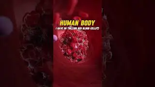 Andromeda vs human body#shorts#viralshort#humanbody#andromeda#astrocuriosity #planetarydiscovery#fpy