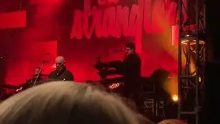 The Stranglers Live - Always The Sun