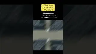 Jus Bawang Wijayani membantu membersihkan plak yang menempel pada pembuluh darah. #jusbawang