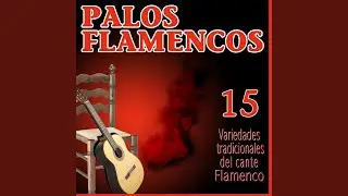 Bamberas