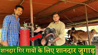 अपनी गिर गौशाला में बना दिया कमाल का काऊ ब्रश | home made cow grooming brush