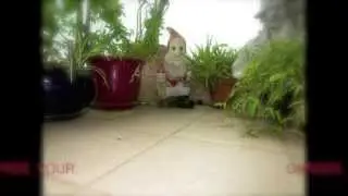 FREE YOUR GARDEN GNOME...
