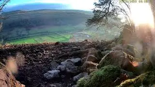 Upper Wharfedale: Mangalitza Pigs🌙26/12/25