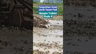 Pengolahan Tanah untuk Tanam Padi dengan Traktor Roda 4 #shorts #shortvideo #traktor #alsintan