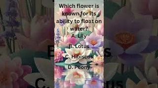 Which Flower Can Float on Water? 🌸💦