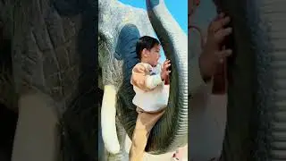 #song #hindi #cute #cutebaby #bhriya #love #rudra #funny #dj #comedy #folk #celabration #bollywood