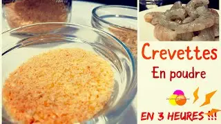 Poudre de crevette 100% propre et en 3h chrono!