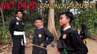 UJIAN KENAIKAN TINGKAT PENCAK SILAT CEMPAKA PUTIH || RANTING GANDUSARI