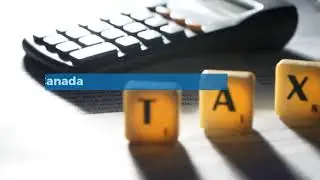 Professional Tax Advisors In Canada- SAU Consulting