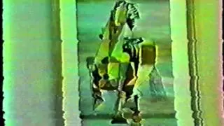 Lou Bunin- Artist Narrative 1983