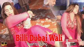 Billi Dubai Wali Haripur Wedding Pashto Hit Dance Performence ! KP Studio