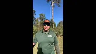 Storm Damage Tree Removal | Atlanta GA