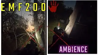 EMF200 + GHpb = AMBIENCE
