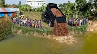 Excellent Starting New Perfect Project!! Operator Delete POND by Mini Dozer Pushing & Dumping Soil b