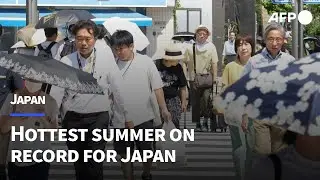 Japan logs hottest summer on record in 2025 | AFP