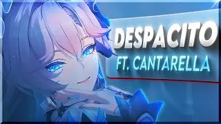 Slowly Cantarella Slowly🫣👀 Despacito Edit