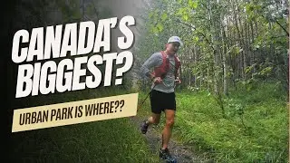 Running Trails at Nose Hill Park (4K)
