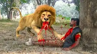 Lion Attack On Village Boy In Forest field ||😱 Lion atteck! #lion #animals #lionattacks #video