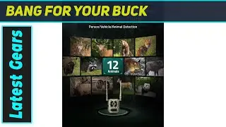CAMOVUE Talon Pro: The Ultimate 4K Trail Cam for Live Wildlife!