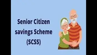 SENIOR CITIZEN'S DAY SPECIAL Senior Citizens' Financial Investment - Problems and Solutions...
