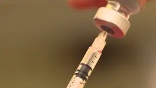 How to give your cat an insulin injection
