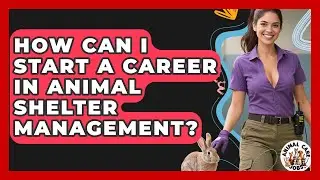 How Can I Start A Career In Animal Shelter Management? - Animal Care Jobs