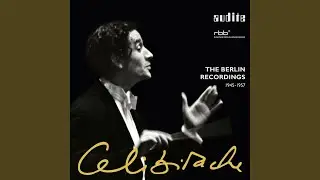 Symphony No. 94 in G Major, Hob. I:94 'The Surprise': II. Andante (3rd London Symphony)