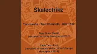 Skalectrikz 13 (Original Mix)