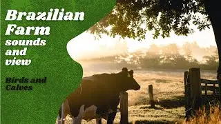 Relaxing farm environment: CALVES