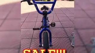 WTP 12&rdquo; Prime for Sale